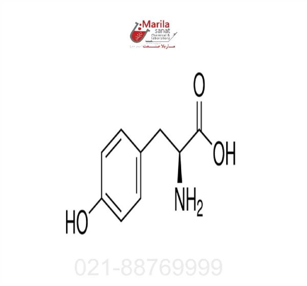 آمینو اسید ال تیروزین